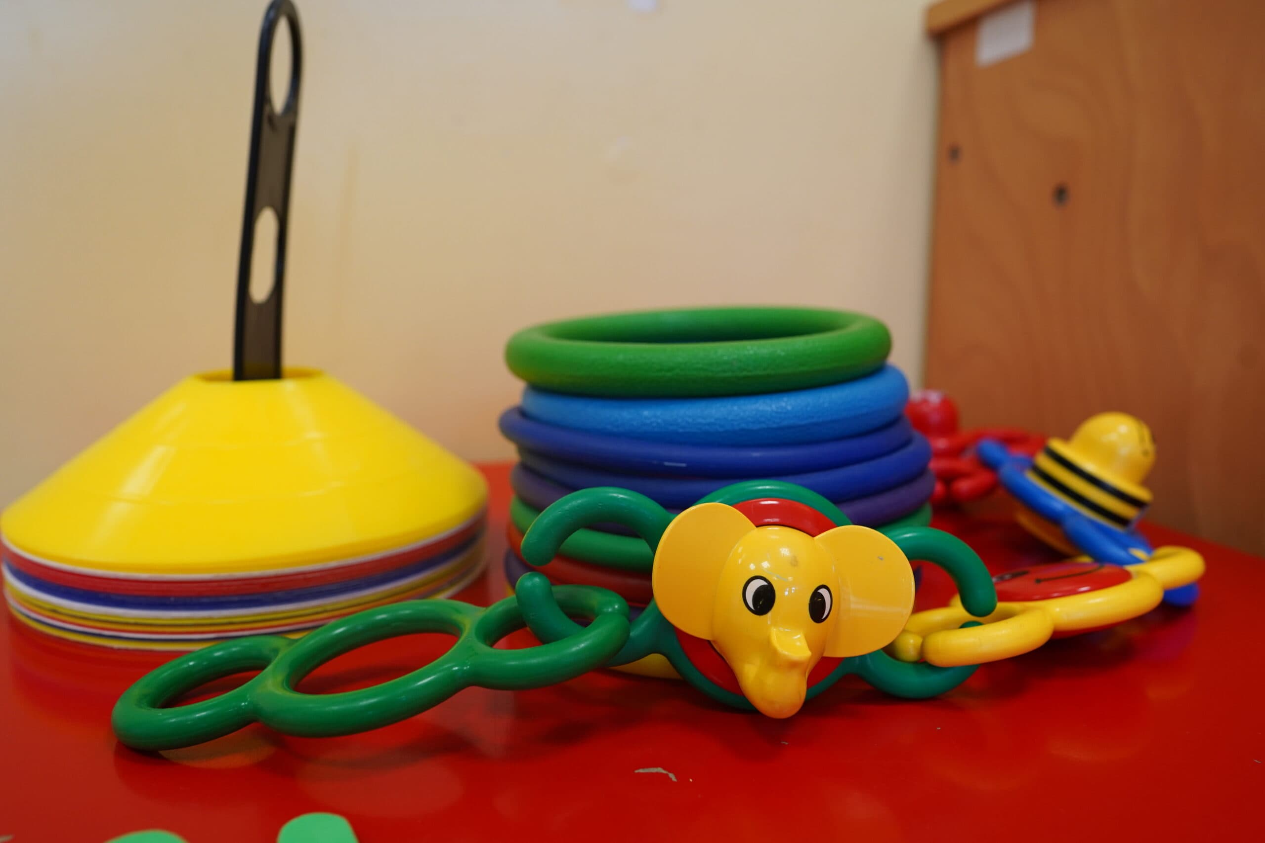 Sede Venosa - Immagine