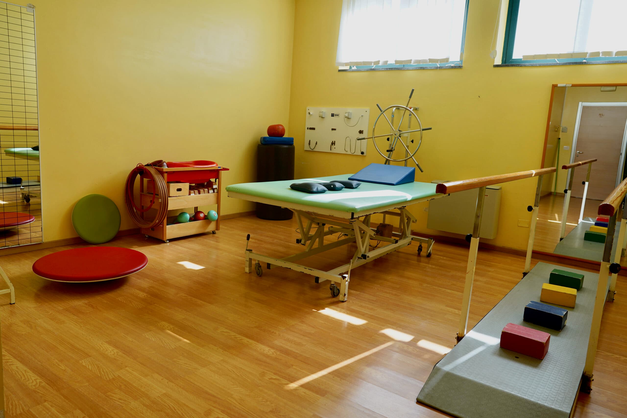 Sede Venosa - Immagine