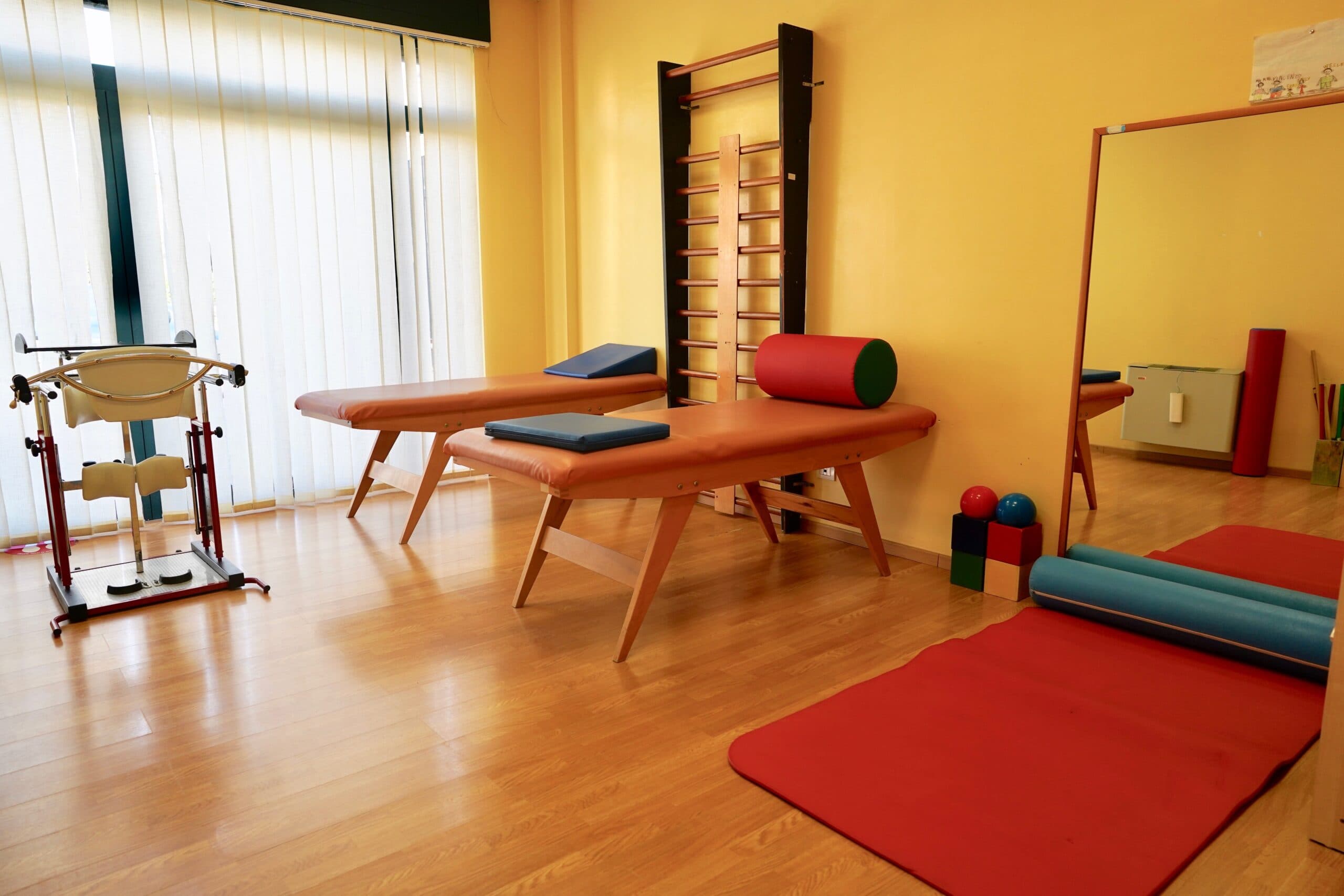 Sede Venosa - Immagine